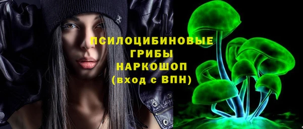 PSILOCYBIN Балахна