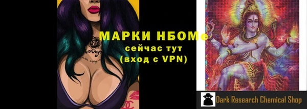 индика Баксан