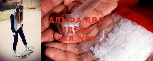 индика Баксан