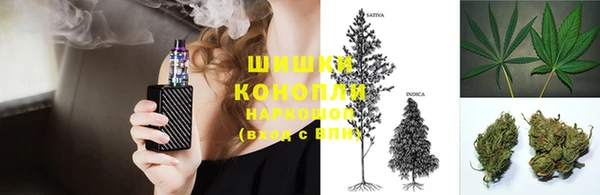 PSILOCYBIN Балахна