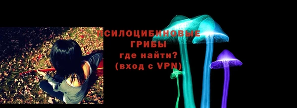 PSILOCYBIN Балахна