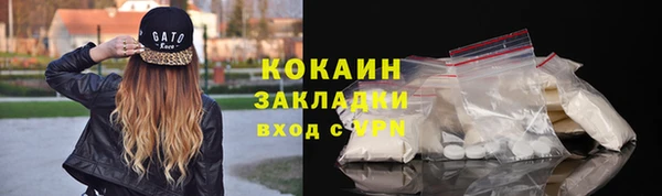 индика Баксан