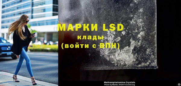 индика Баксан