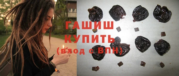 индика Баксан