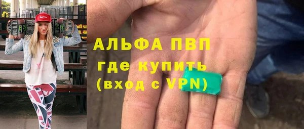индика Баксан