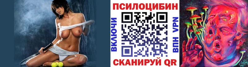 Купить закладки  Вятские Поляны  Галлюциногенные грибы GOLDEN TEACHER 